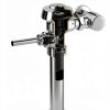 Sloan A-71 Inside Cover Flushometer Replacement Part-1